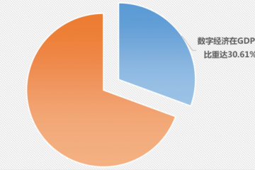 全球數(shù)字經(jīng)濟(jì)聯(lián)盟未來發(fā)展三年行動計(jì)劃發(fā)布