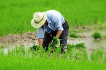 江門冷鏈產業園扶農助農，助力鄉村振興