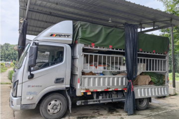 油耗堪比一輛家用SUV，歐馬可自動擋用實(shí)力征服20年駕齡老司機(jī)