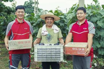 10年增長(zhǎng)10倍！構(gòu)建農(nóng)村快遞服務(wù)新模式