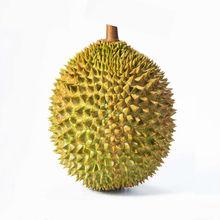 廣東進口馬來西亞水果蔬菜油麥菜金枕頭帶殼整個榴蓮清關