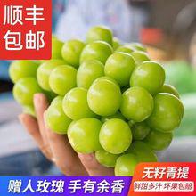進(jìn)口日本網(wǎng)紅水果生鮮晴王陽光玫瑰葡萄現(xiàn)采現(xiàn)摘青島港報(bào)關(guān)