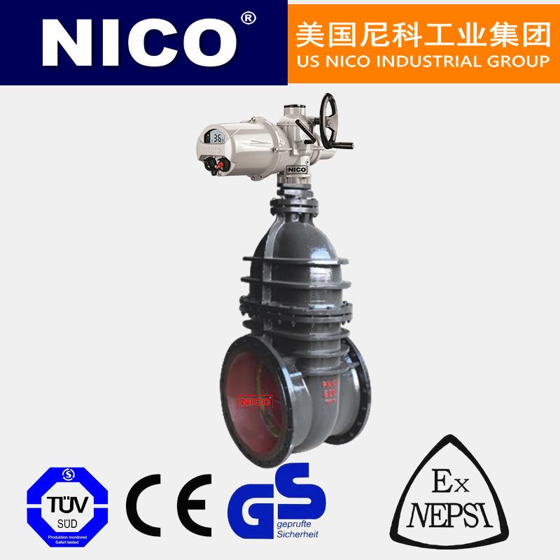 進(jìn)口電動鑄鐵閘閥