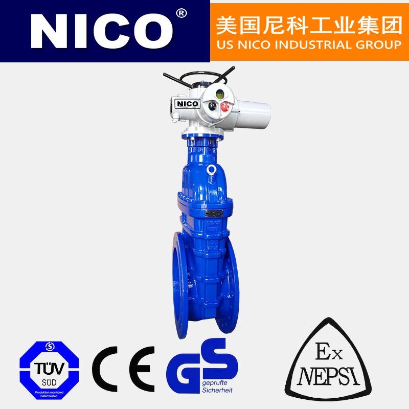 進口暗桿電動閘閥