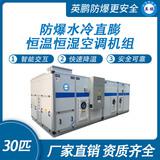 防爆水冷直膨恒溫恒濕空調(diào)機組-30匹