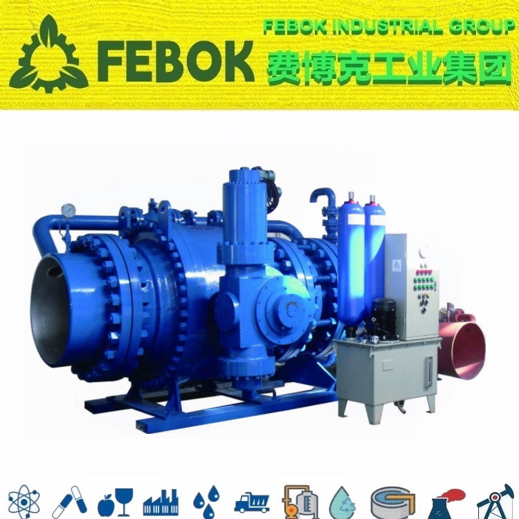 進口水輪機進水閥.jpg
